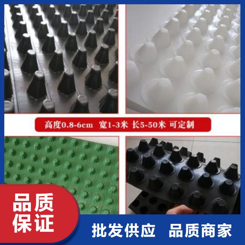 排水板【塑料排水板】用心制作