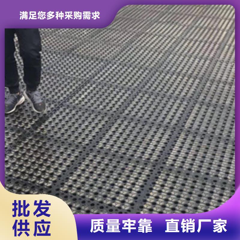 凹凸型塑料排蓄水板—價(jià)格驚喜