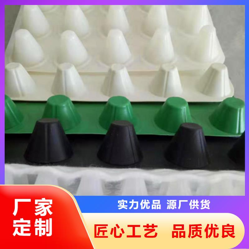 排水板三维植被网好品质选我们