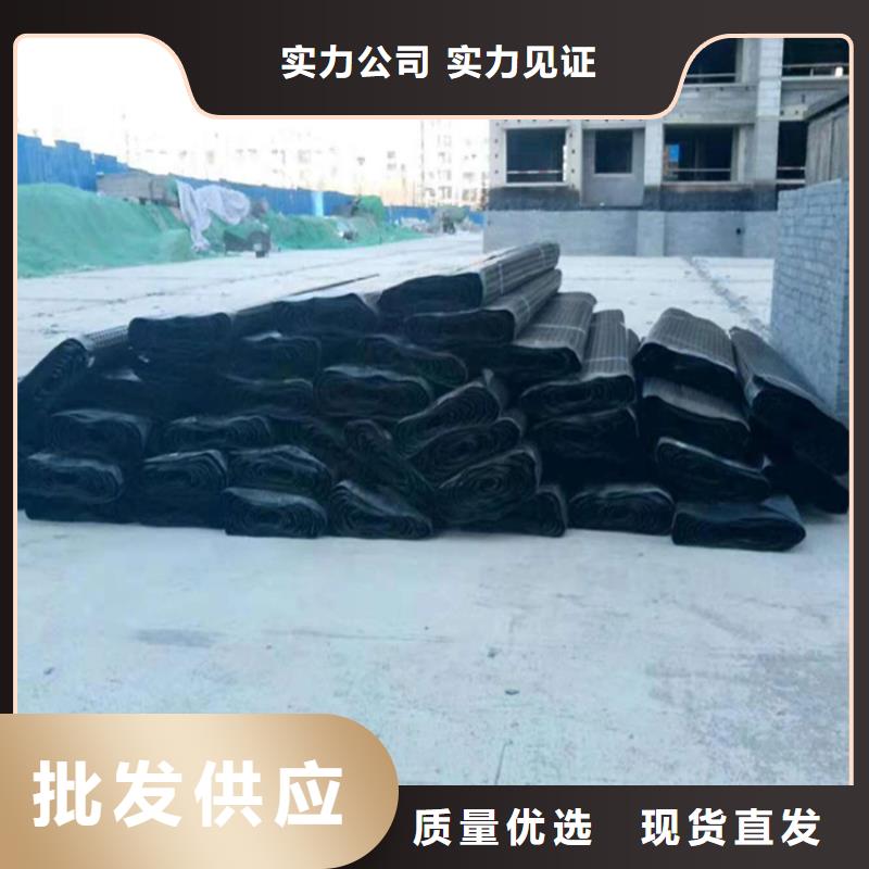 蓄排水板廠家大企業