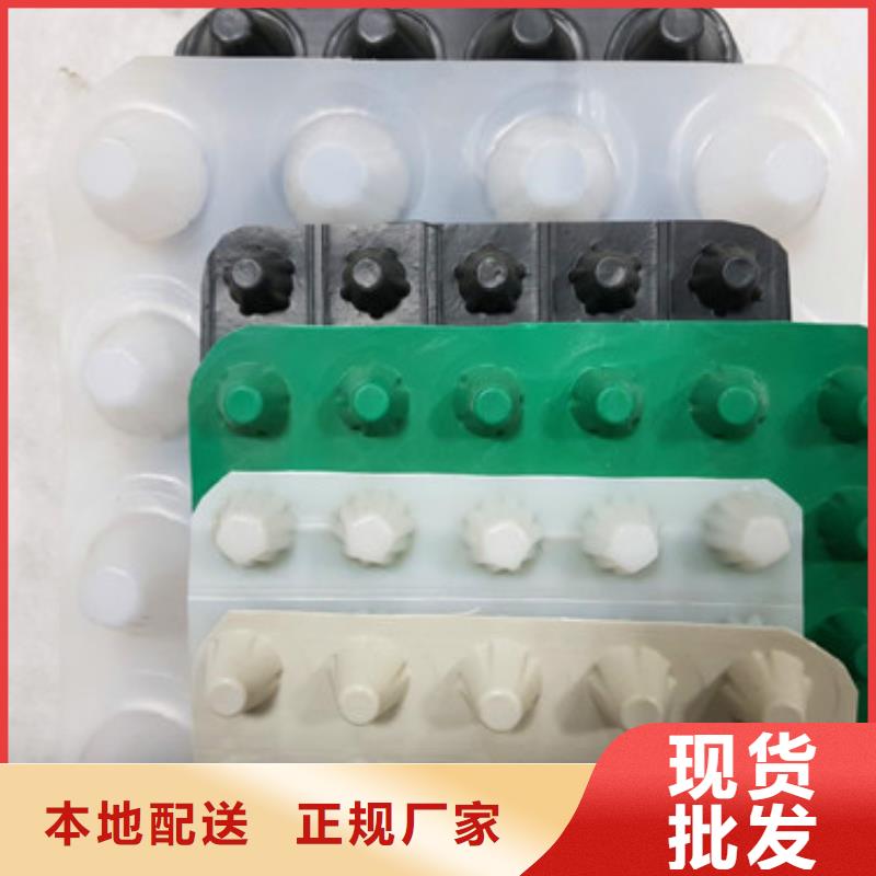 排水板【土工膜】按需定制
