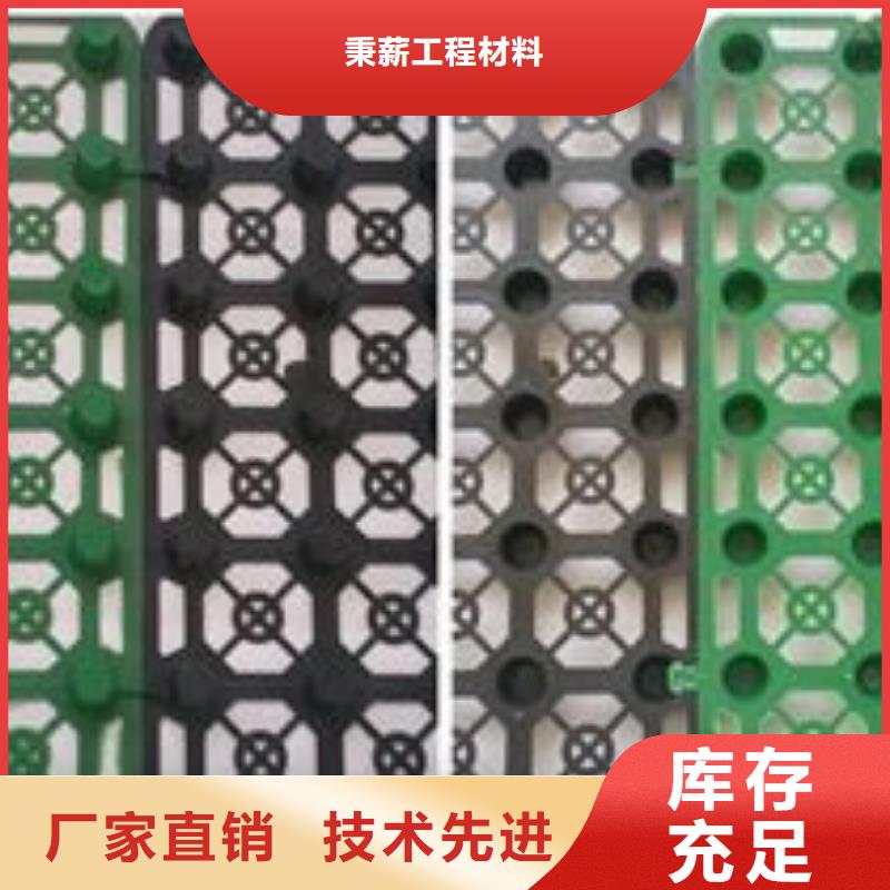 蓄排水板-2025新價格