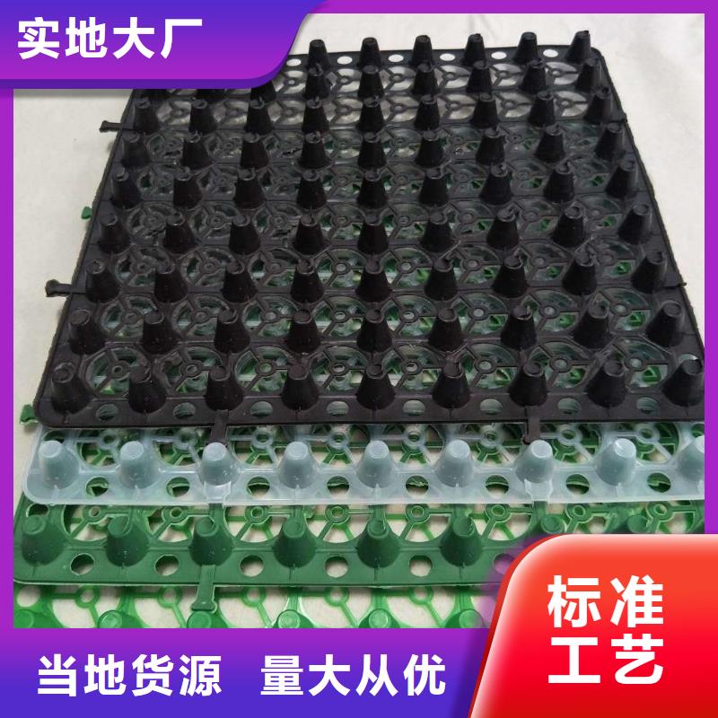 排水板植草格老品牌廠家