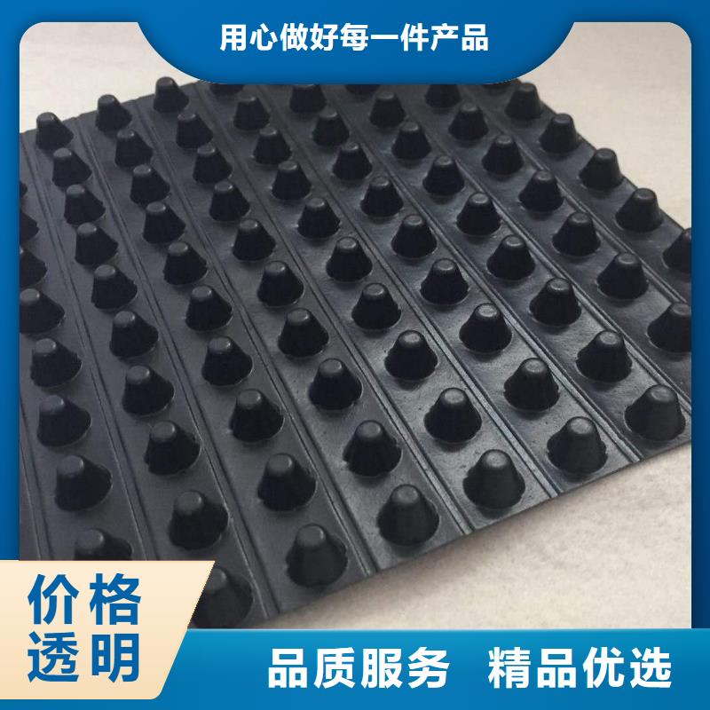 車庫頂板排水板業內好評