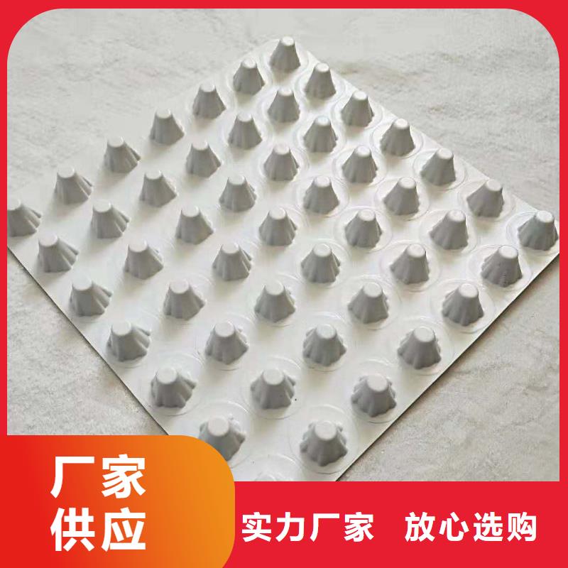 塑料透水疏水板—廠家直銷
