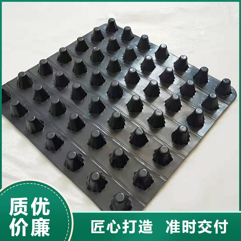 排水板植草格颜色尺寸款式定制