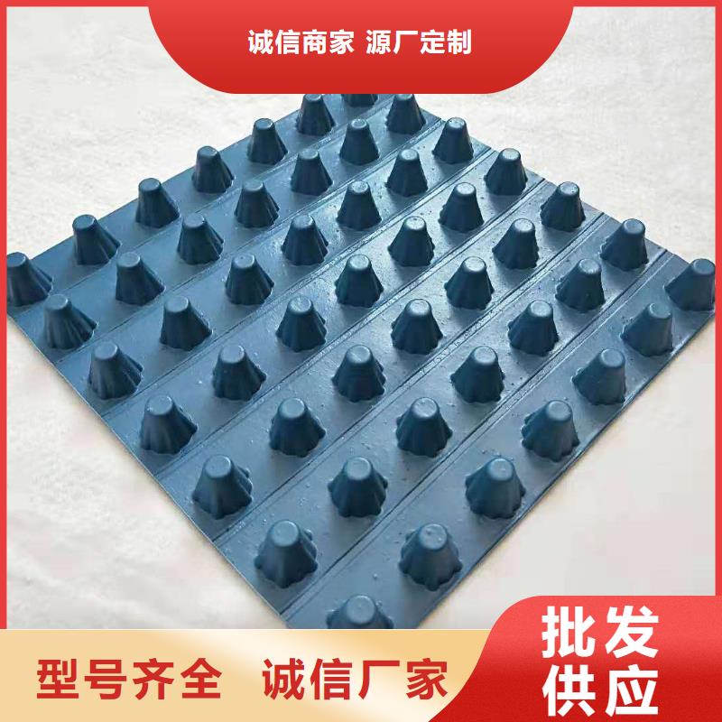 排水板車庫排水板現貨齊全售后無憂