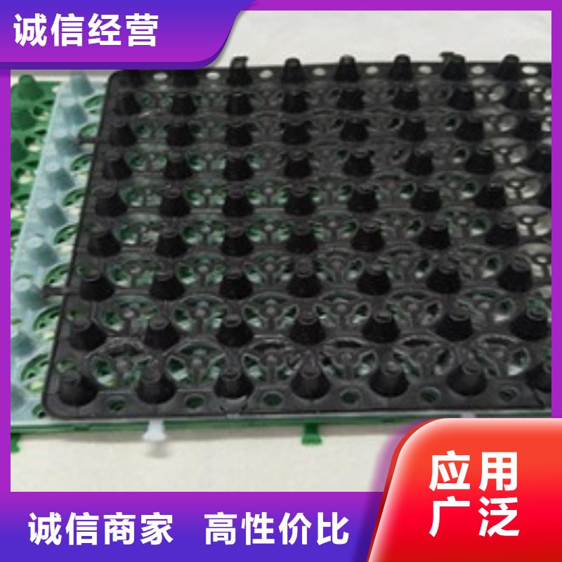 排水板蓄水板把實惠留給您