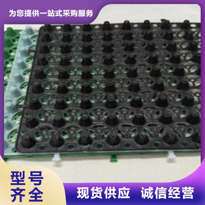 排水板車庫排水板現貨齊全售后無憂