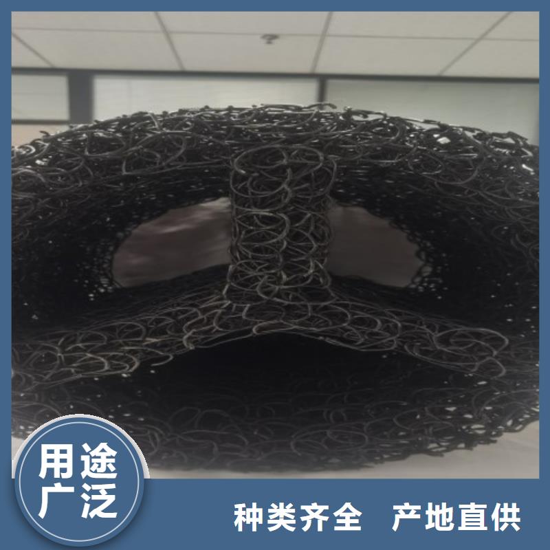塑料盲沟三维植被网品牌企业