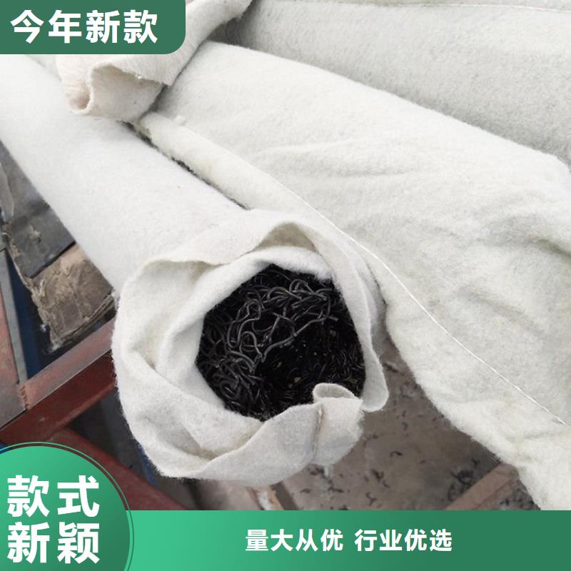塑料盲溝復(fù)合土工膜老品牌廠家