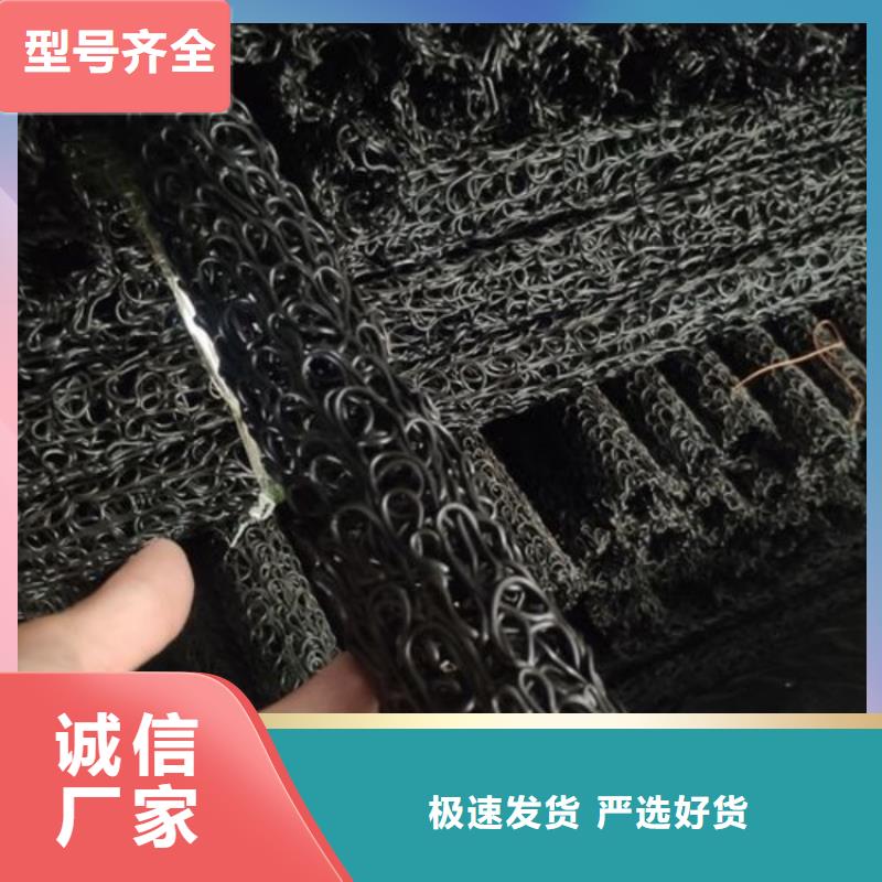 塑料盲溝土工格柵買的是放心