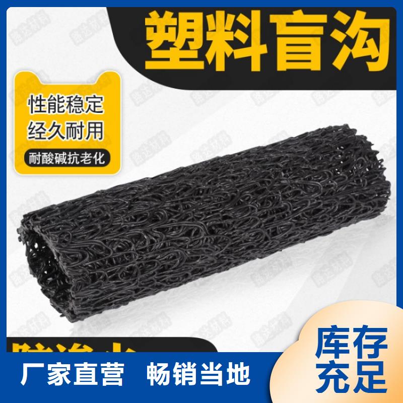 塑料盲溝 土工格柵就近發貨