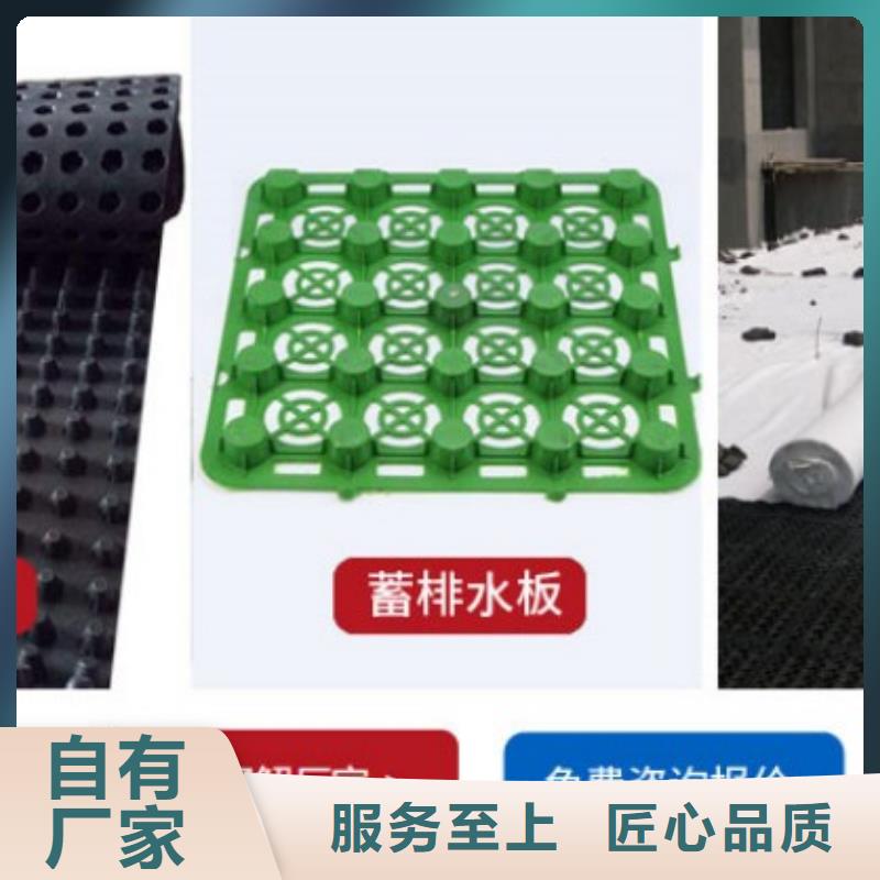 塑料盲溝濾水板精心