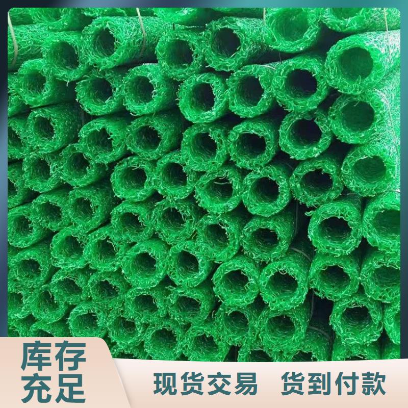 【塑料盲溝三維植被網(wǎng)多年實(shí)力廠家】