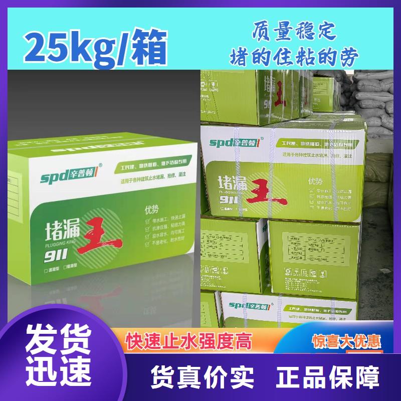 速凝堵漏王價格