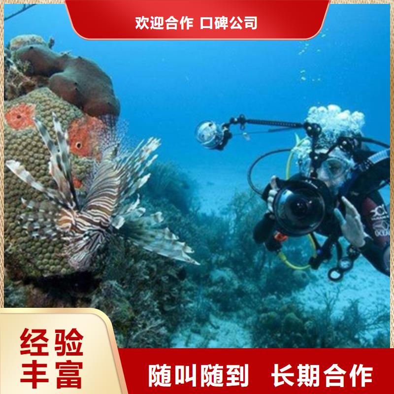 水下打撈-潛水團隊正規