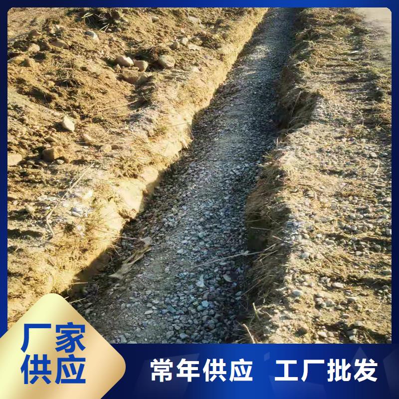 塑料盲管歡迎咨詢價格