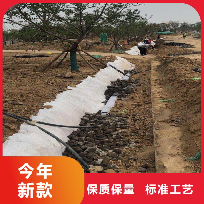 排水盲管土工膜實力商家供貨穩定