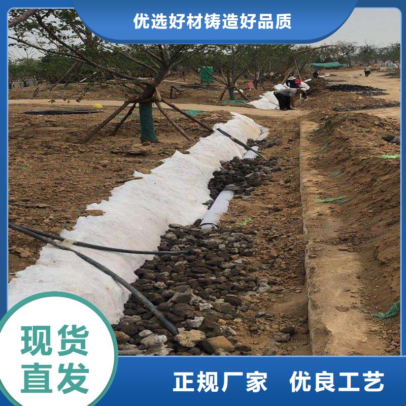 環保材質盲管排水快防堵量大從優價格
