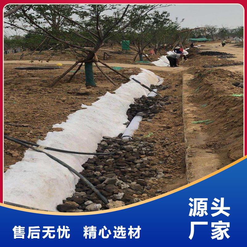 选购排水盲管图片全国统一价