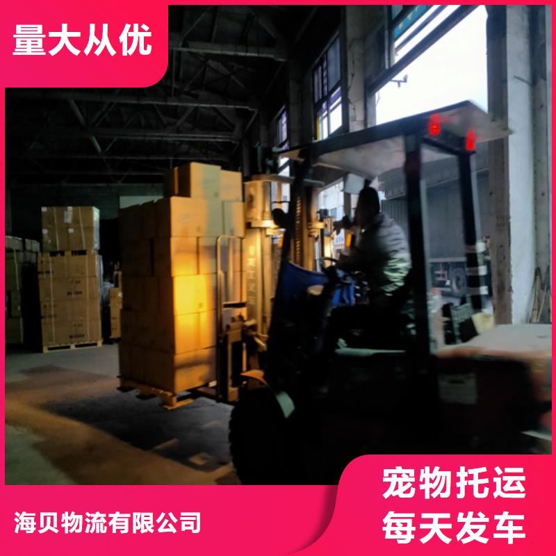 上海到华尔网冷藏货运公司视频-上海到华尔网冷藏货运公司|广东省河源市|龙川|紫金|湛江|茂名|江门|汕头