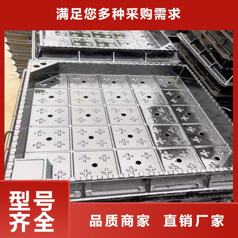 450*750球墨鑄鐵井蓋，景區(qū)井蓋