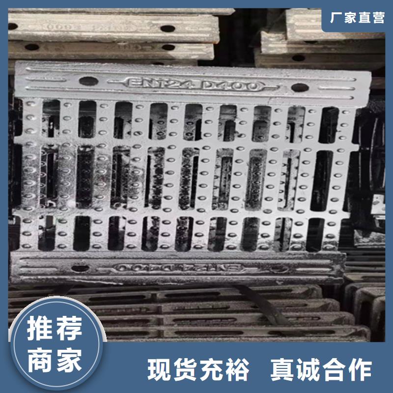 350*500球墨鑄鐵篦子C250