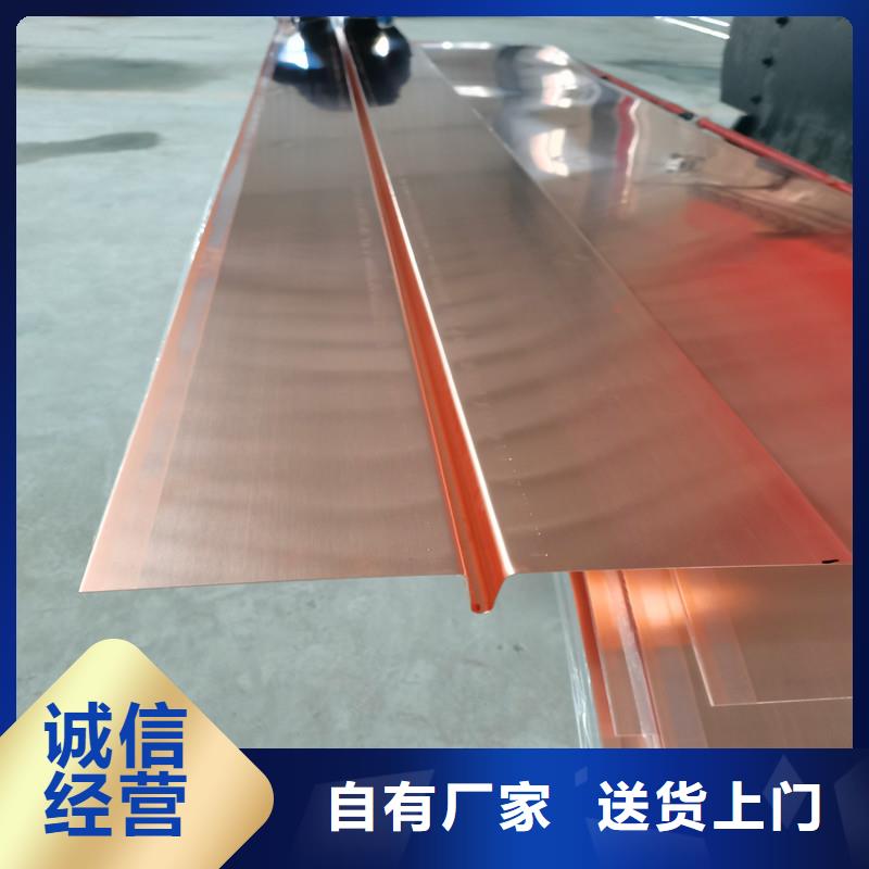 紫銅片止水源頭廠家