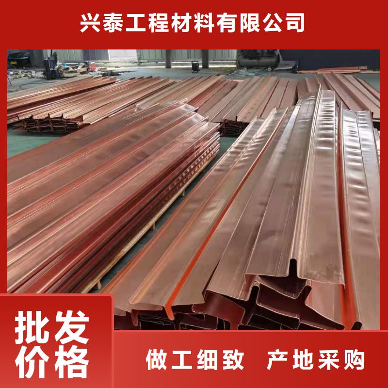 V型止水铜片订制