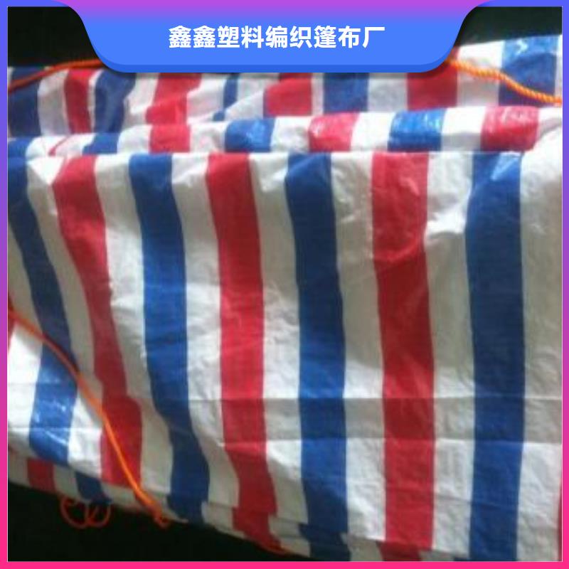 彩條布綠化防寒布專業的生產廠家