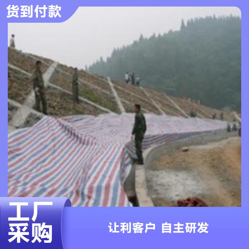 彩條布防雨篷布廠家物流配送