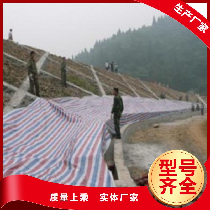 聚乙烯彩條布-聚乙烯彩條布品牌