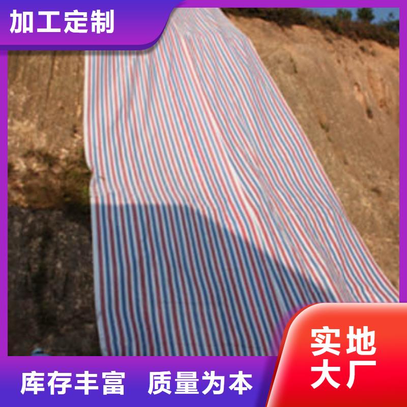 彩条布防风彩条布追求品质
