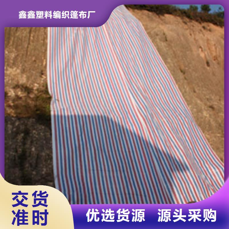库存充足的55g彩条布供货商