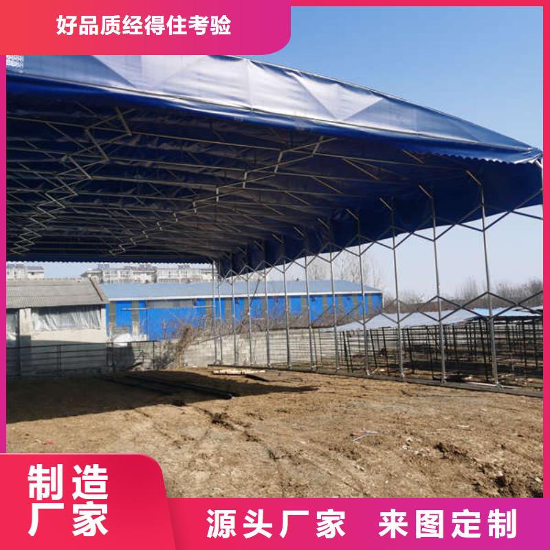 物流大棚誠信廠家