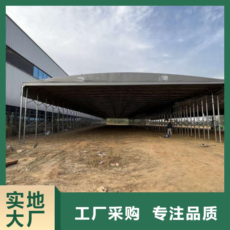 倉儲帳篷誠信廠家