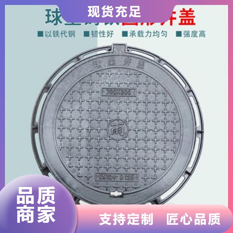 600*600鑄鐵單片可定制
