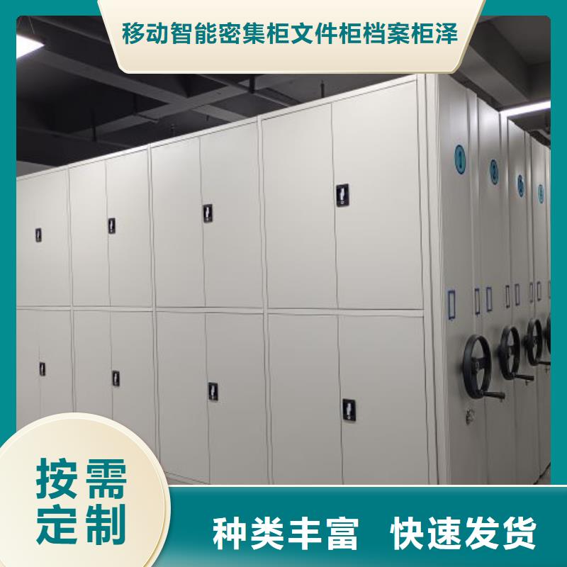 高標(biāo)準(zhǔn)【澤信】油畫(huà)密集架