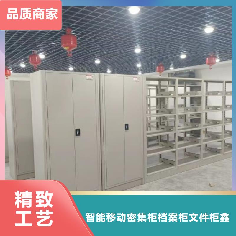 專業(yè)制造商【鑫康】蠟片密集柜