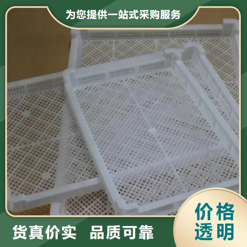 價格公道的倉庫塑料墊板廠家
