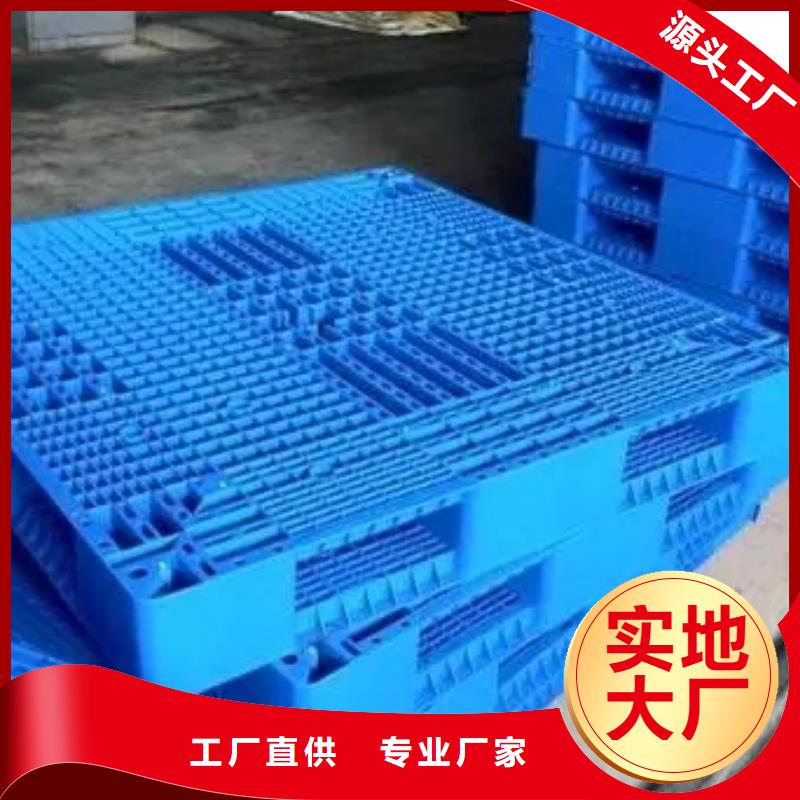 尼龙套视频-衡水市尼龙套-【同城】可服务区域武邑|武强|秦皇岛|承德|张家口|石家庄|沧州|唐山|保定
