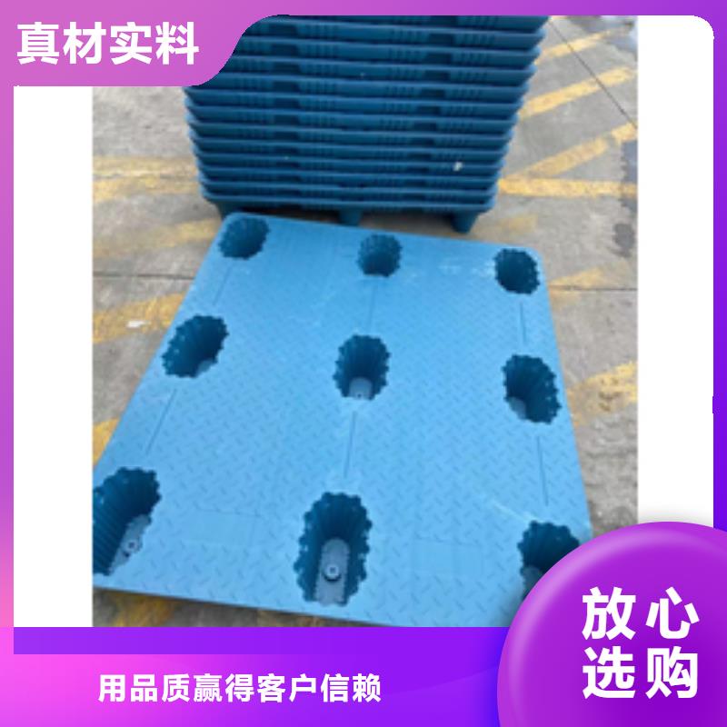 鸡舍塑料垫板价格走势
