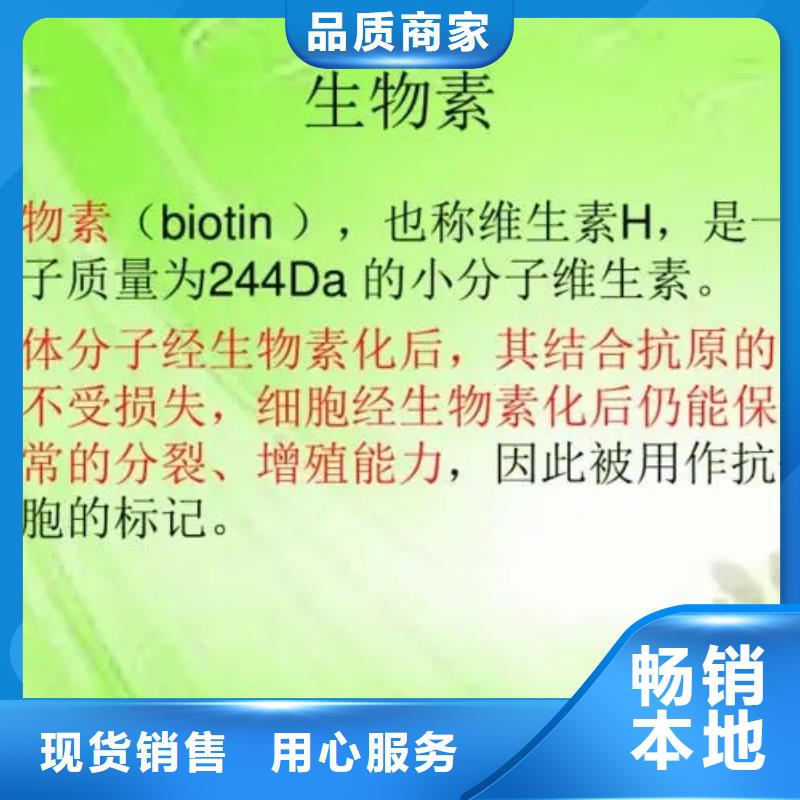 维成素B7批发