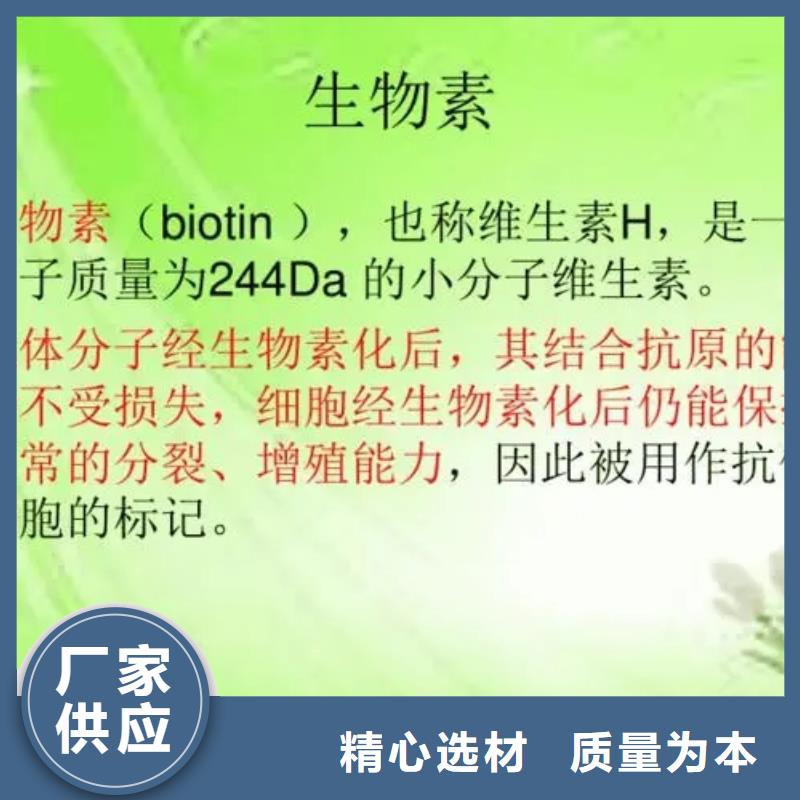 文昌市D-生物素參數