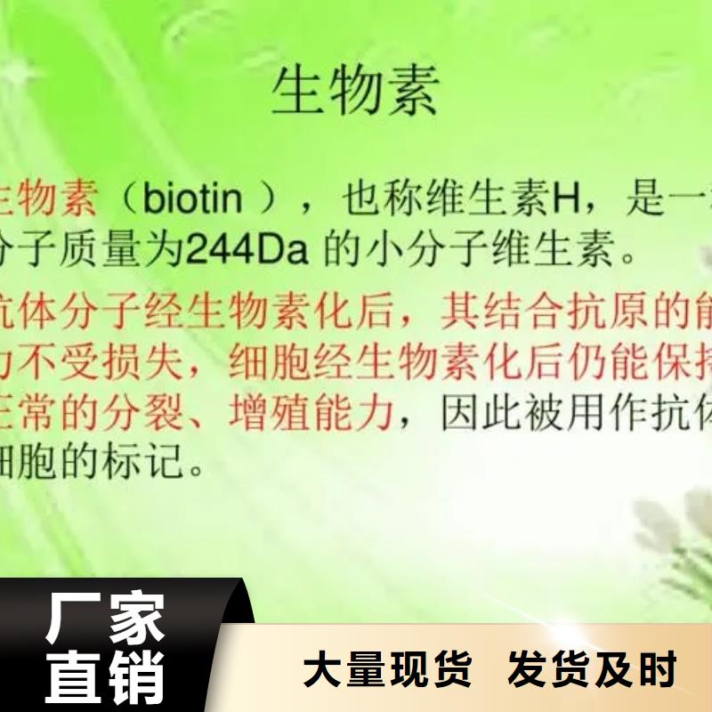 发泡微球视频-发泡微球(英智信)覆盖地域辽宁省铁岭市银州|开原|抚顺|阜新|朝阳|辽阳