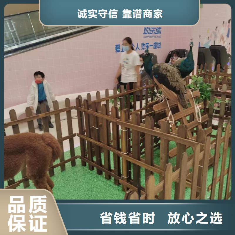馬戲團出租表演