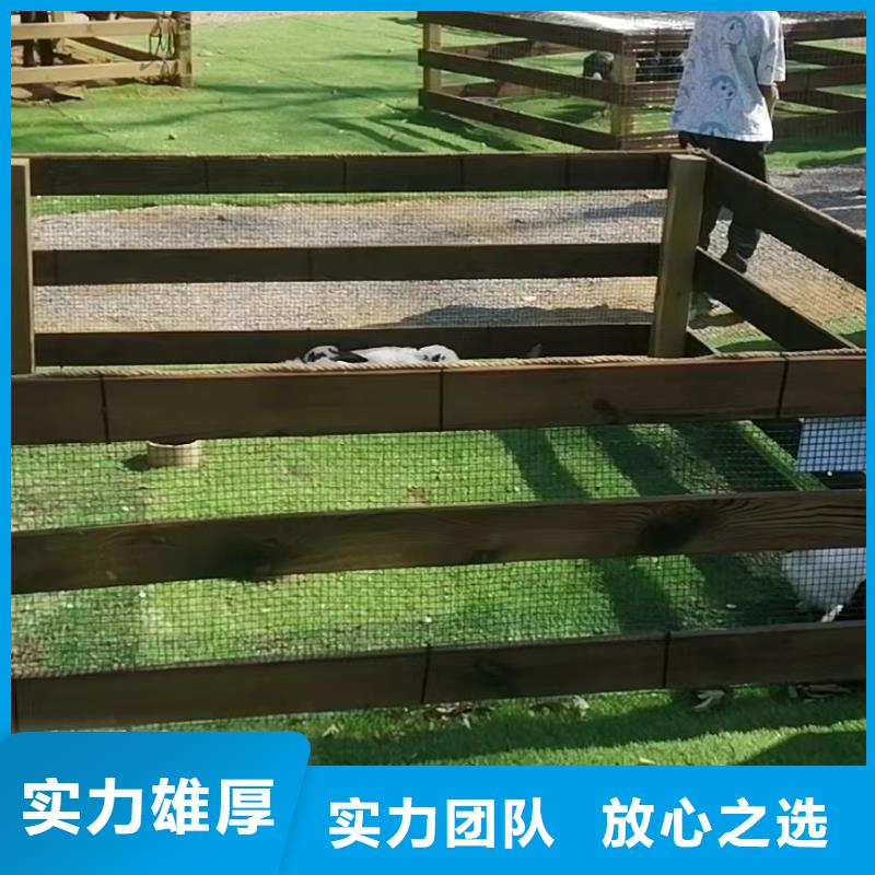 動物表演出租