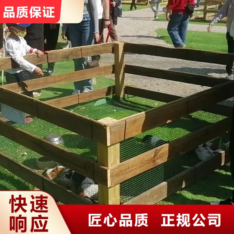 马戏团/羊驼羊驼出租公司