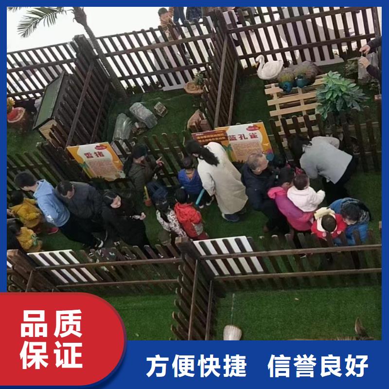 馬戲團/羊駝-鸚鵡表演專業品質